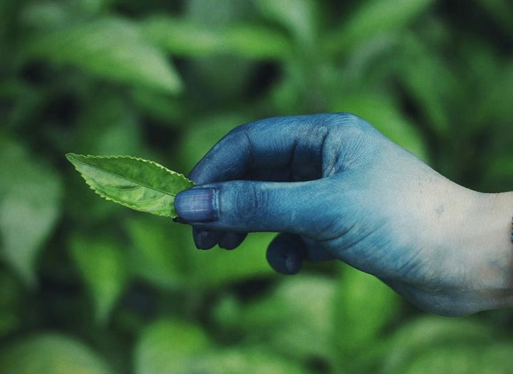 Natural Dye