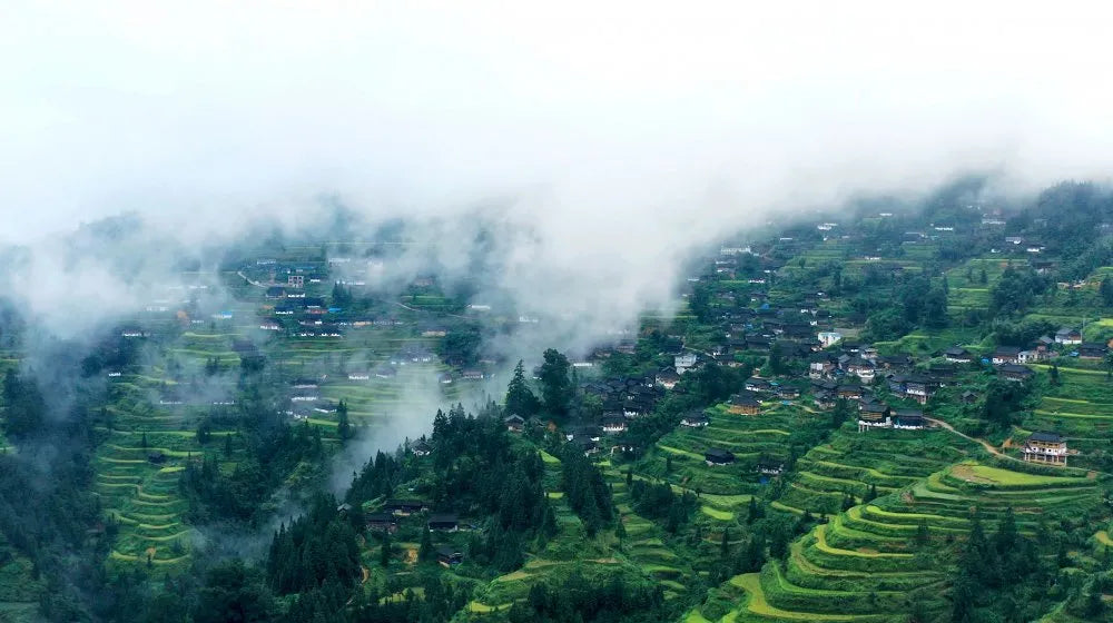 Miao village in Guizhou mountains with mist and terraces